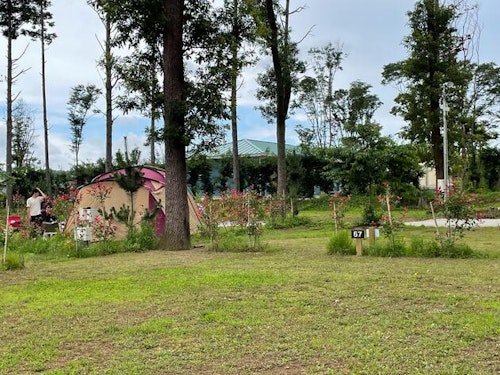 ＣＡＭＰ　さくらの丘　＾