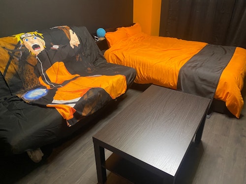 ＴＲＡＶＥＬＥＲＺ　ＡＫＡＳＡＫＡ　３０１／民泊