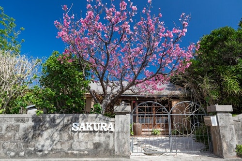 SAKURA HOUSE ^