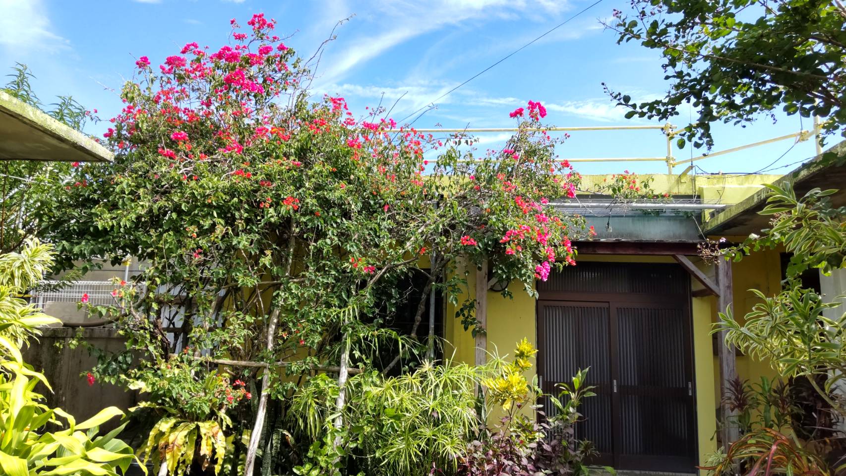 ひたみやか<宮古島>