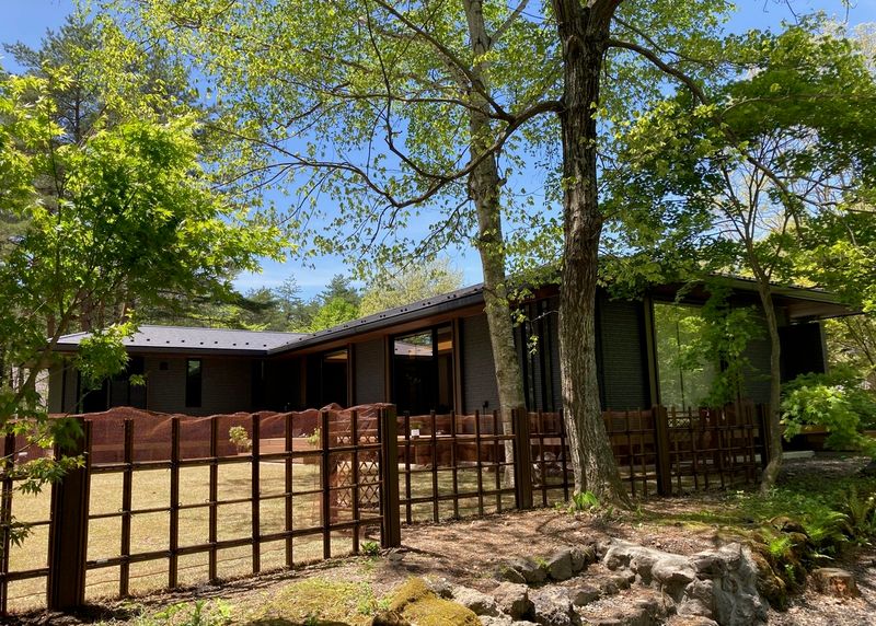 Ｄ－Ｆｏｒｅｓｔ　ＫＡＲＵＩＺＡＷＡ