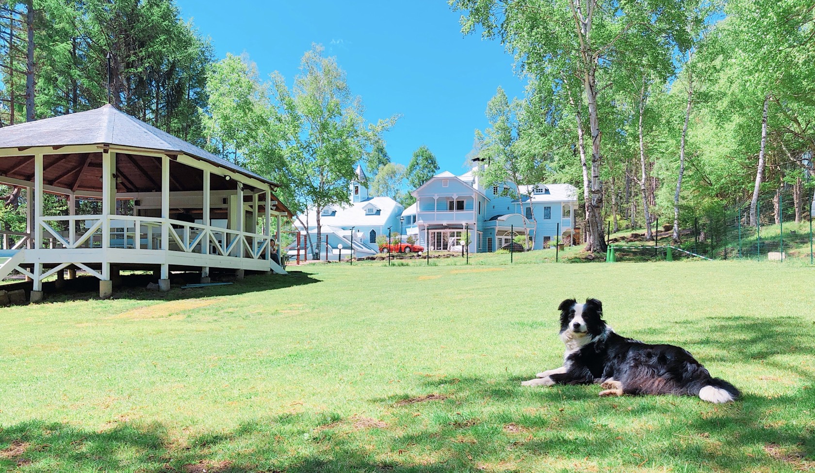 青空の扉　犬と泊まれるプチホテル
