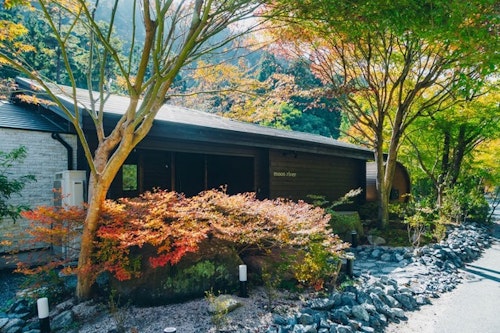 ｍｏｏｎ　ｒｉｖｅｒ　＾