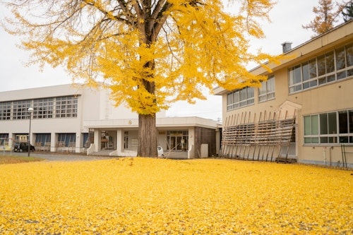 米沢みさわ小学校|とここと ^