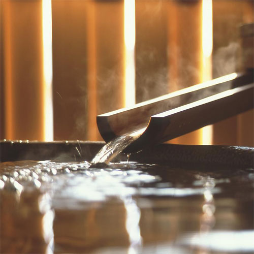 人吉温泉　清流山水花　あゆの里