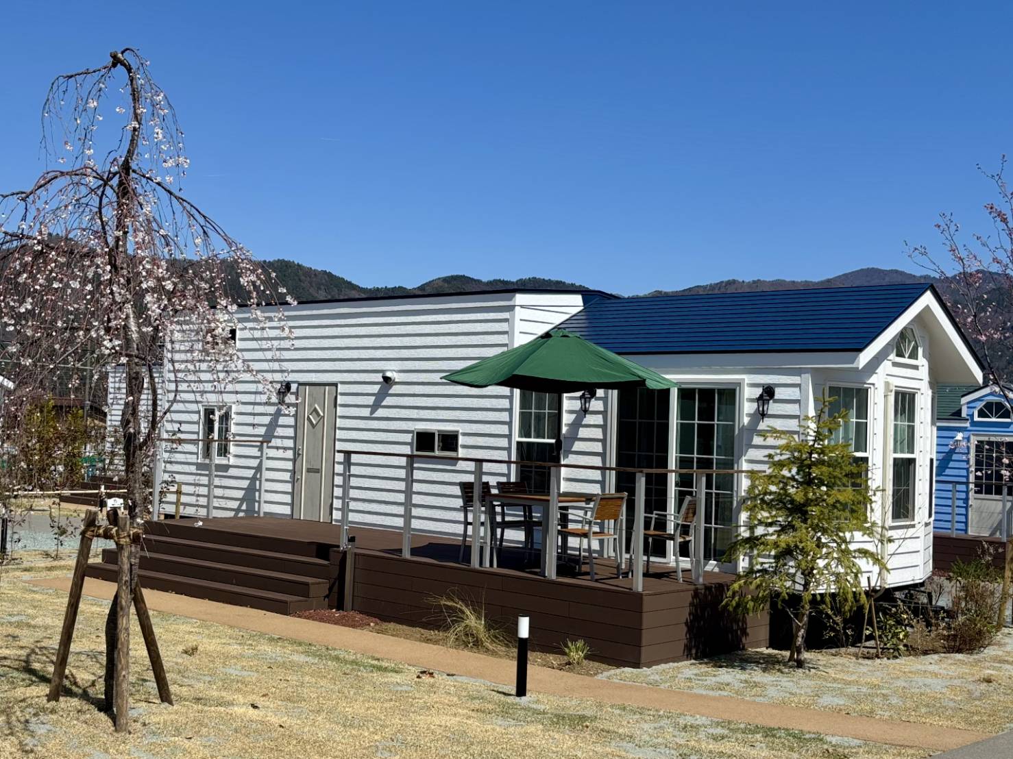 イン・ザ・富士