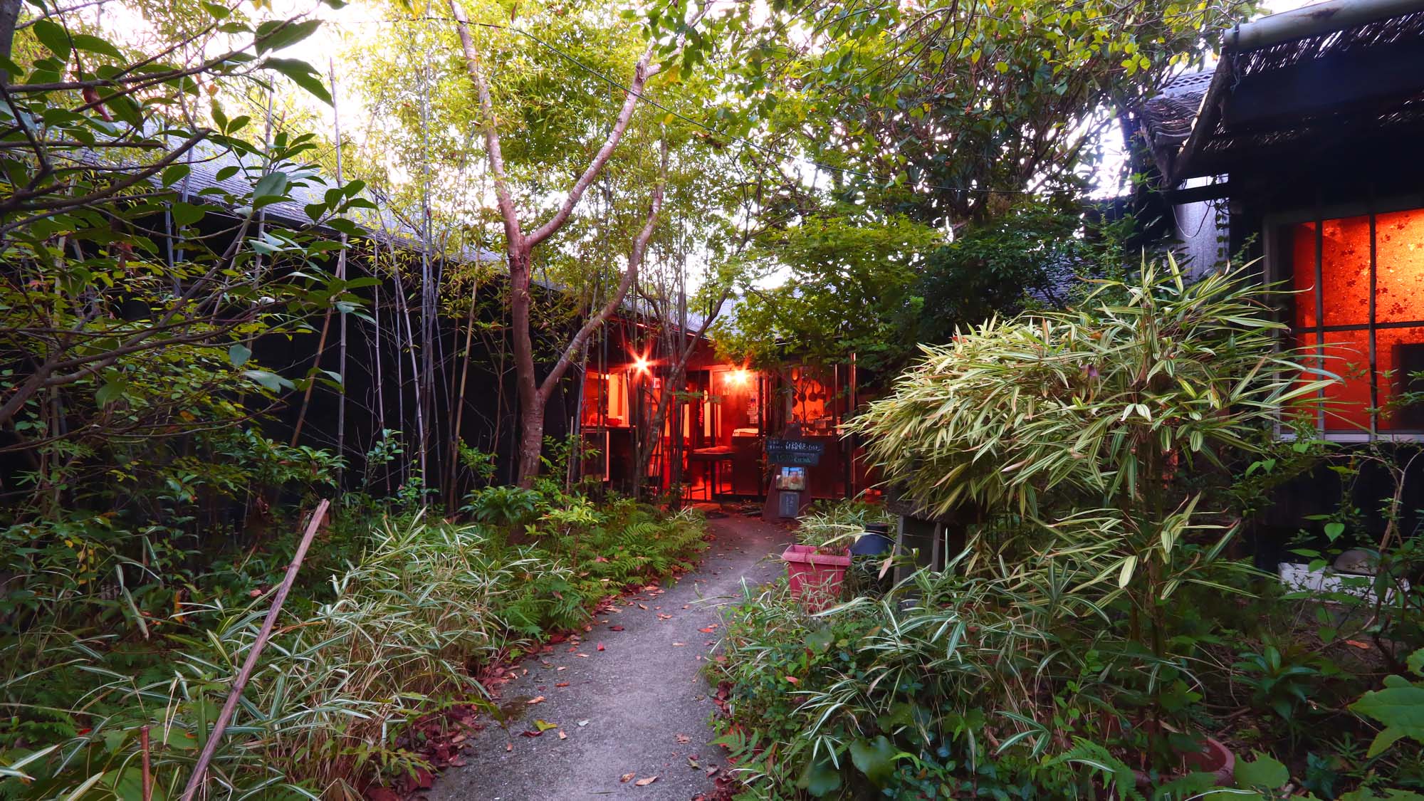 イサオ・クチーナ