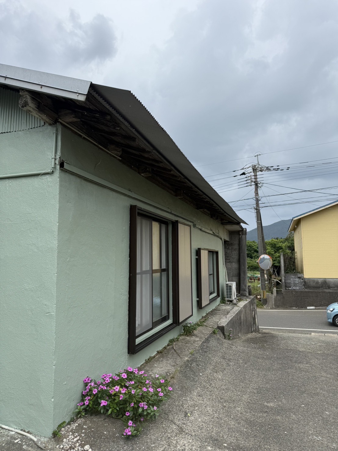むじゅらい徳之島<徳之島>