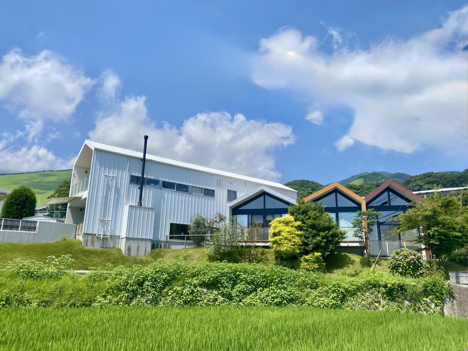 ペットと泊まれる宿Ugo