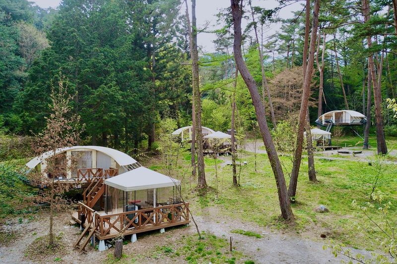 ツリードーム南信州まつかわ