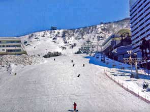 スポーツプラザ白樺