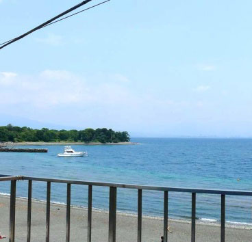 沼津大瀬崎　民宿　はごろも荘