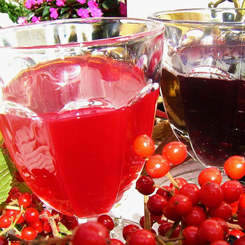 岩手　安比高原　果実酒の宿　木いちご荘