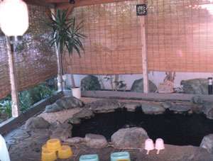 岬ペンション ガジュマル