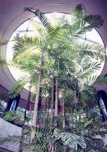 瀬戸大橋温泉　やま幸