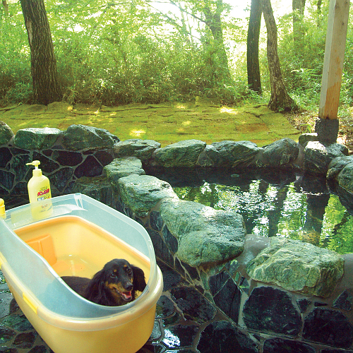 ペンションアニマーレin那須