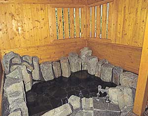 貸別荘　飯田ログハウスＡ