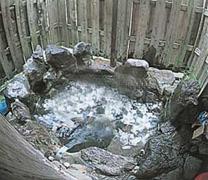 貸別荘　天ヶ瀬ログハウスＢ