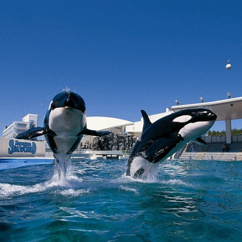 鴨川シーワールドホテル