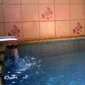 網代温泉　金龍のお宿　田舎