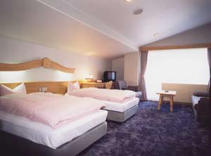 志賀山温泉　ホテルアルペンブルク