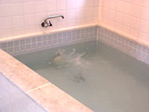 民宿　ハーバーハウスかなめ