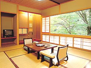 下呂の奥座敷　炭酸泉の宿　泉岳舘