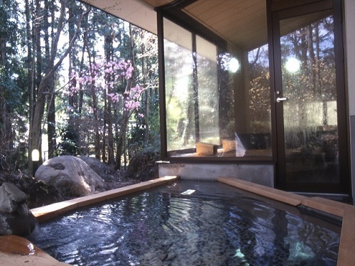 日光温泉　ホテル　清晃苑