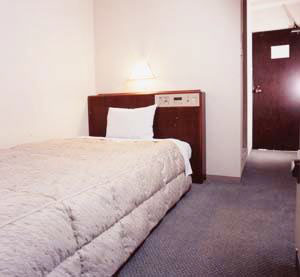 明石ルミナスホテル