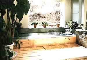 フォレスト　イン　モーグル