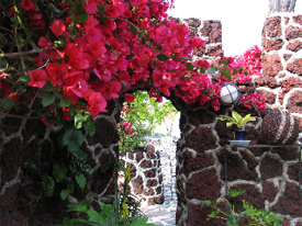 伊豆高原温泉　ジェイガーデン