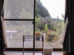 民宿 杉の里 <屋久島>