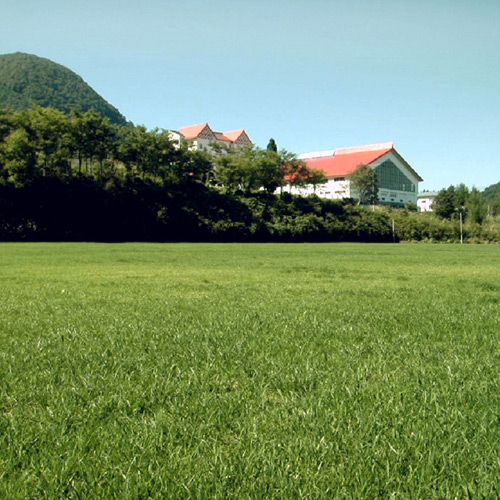 ホテル レイジャント