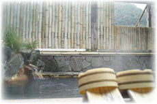 十津川温泉郷　ゑびす荘