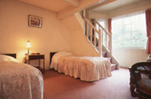 プチホテル&レストラン エアメイル