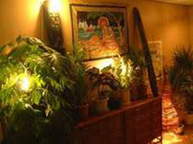 ゲストハウス Sea〜PaっPa(女性専用)