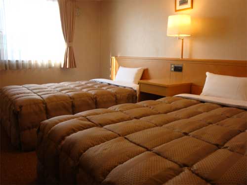 ホテルルートイン佐野藤岡インター