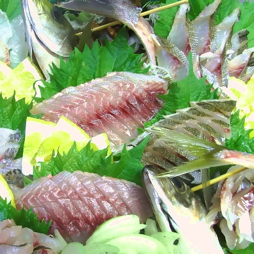 西伊豆駿河湾　お刺身が評判の宿　伊豆一（１号店）