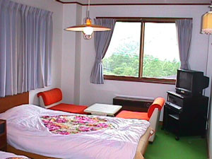 オオノペンション