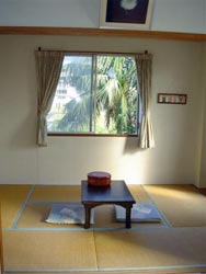 ラ・キメラ　＜八丈島＞