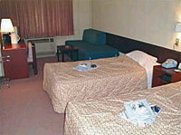 ホテル　ヴァイサーホフ　八平