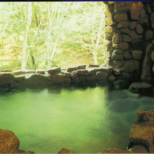 温泉ペンション　青いやね