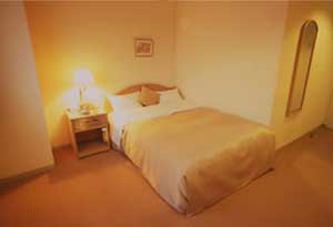 グランパークホテルパネックス君津