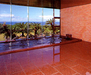 八丈ビューホテル　＜八丈島＞