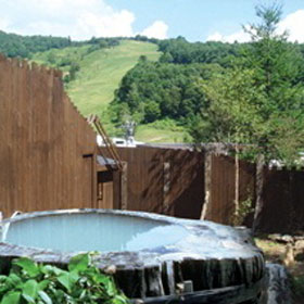 Ｓｐａ　Ｌｏｄｇｅ　Ｒｅｄｗｏｏｄ　Ｉｎｎ（レッドウッドイン）