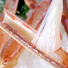 内湯旅館 江んや