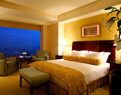 ザ・リッツ・カールトン東京