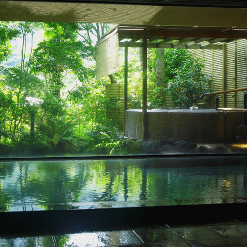 海石榴　つばき