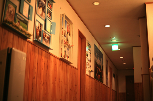 プチホテル グラスハウス