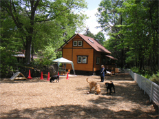 犬と泊まれる貸別荘 ミリーズラブ